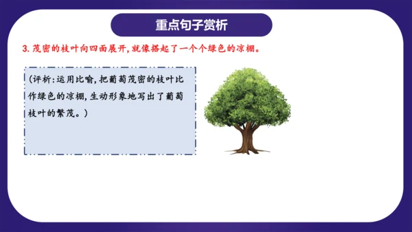 统编版2023-2024学年二年级语文上册单元复习第四单元（复习课件）（含答案）