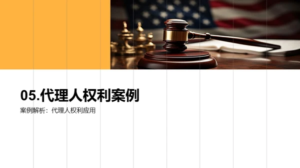 深度剖析代理人权利