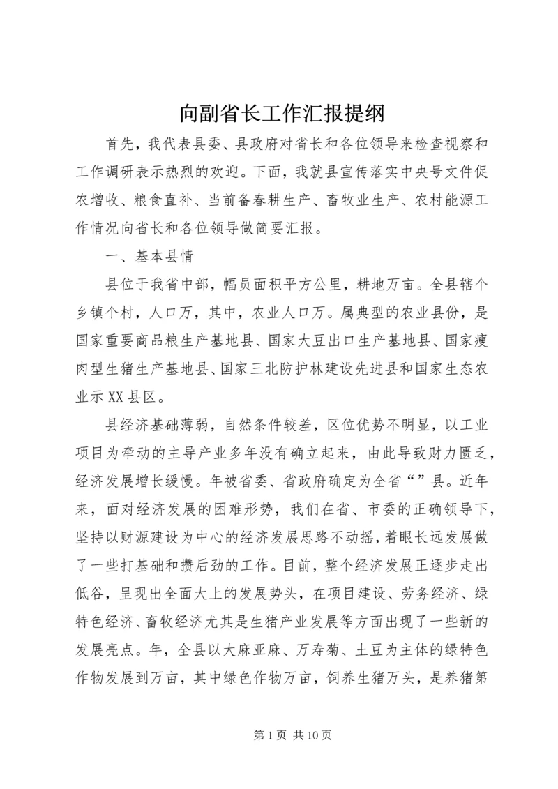 向副省长工作汇报提纲.docx