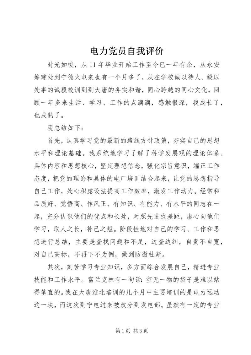 电力党员自我评价精编.docx