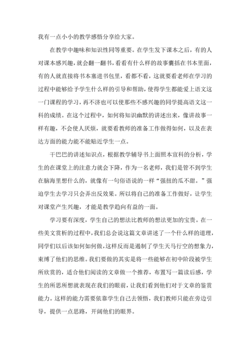 语文老师教学心得五篇.docx