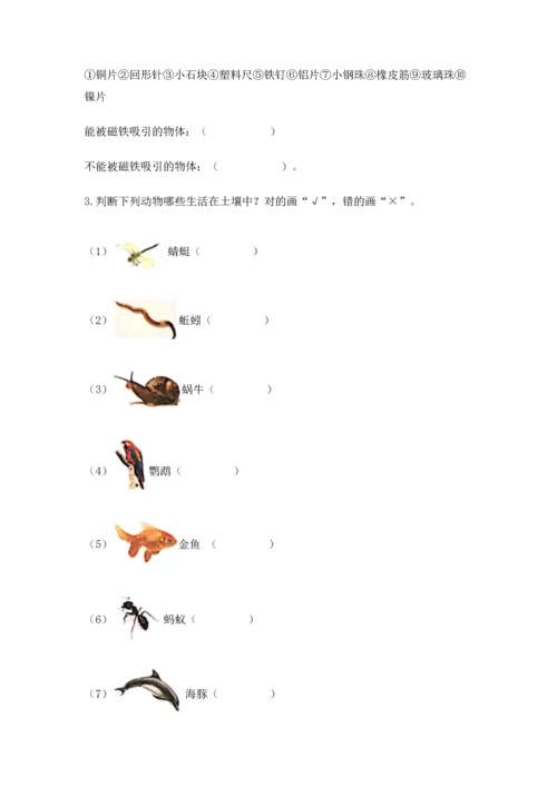 教科版科学二年级上册《期末测试卷》加解析答案.docx