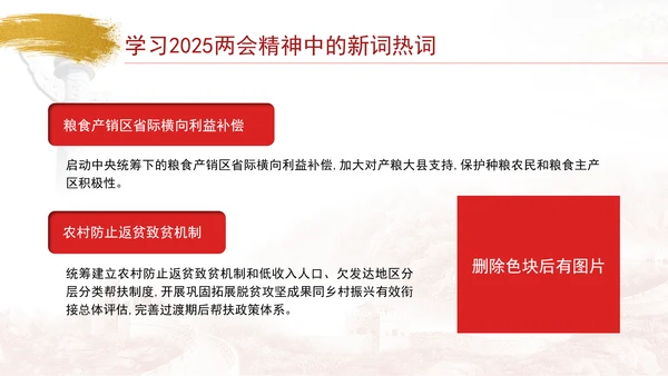 学习2025两会精神中的新词热词ppt课件