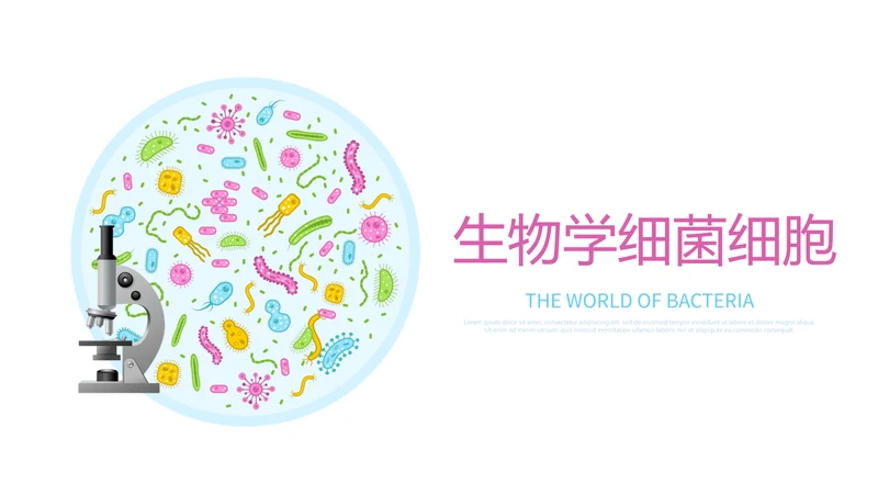 生物学细菌细胞动态PPT
