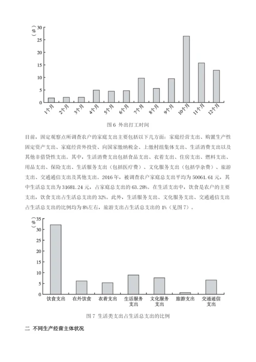 中国农户发展状况分析报告.docx