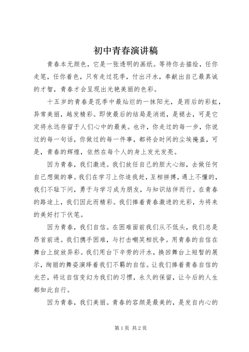 初中青春演讲稿.docx