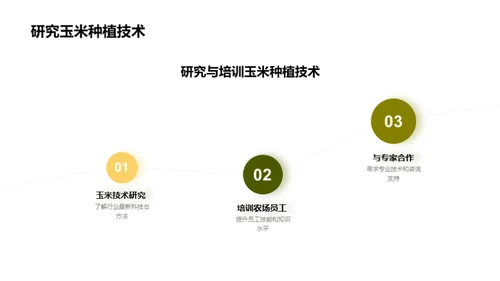 优化玉米种植，挖掘增产潜力