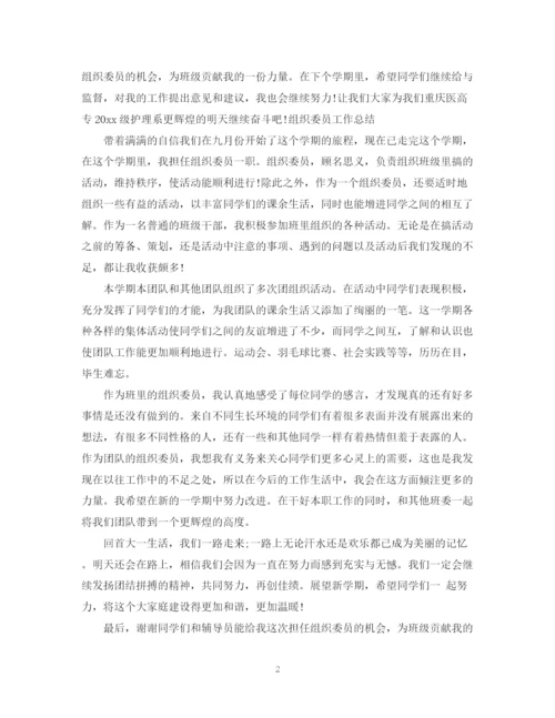 精编之组织委员工作总结范文.docx