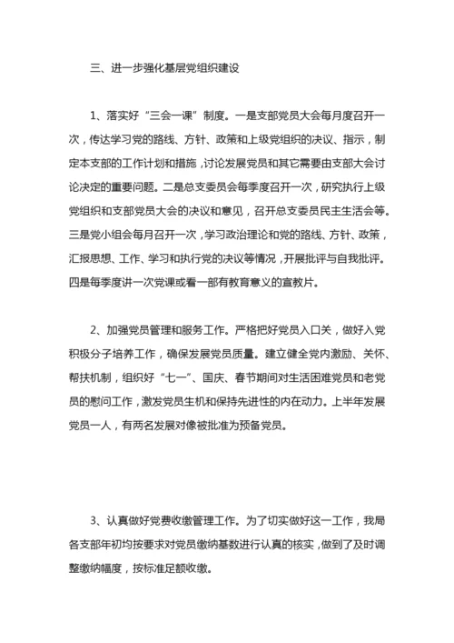 村党总支半年工作总结.docx