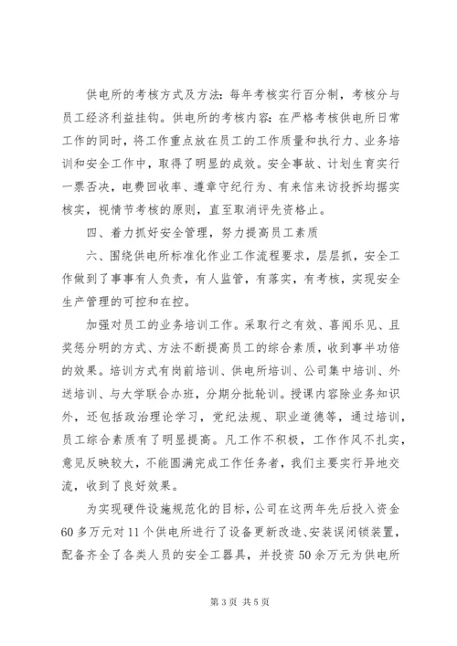 供电所规范化管理总结总结.docx