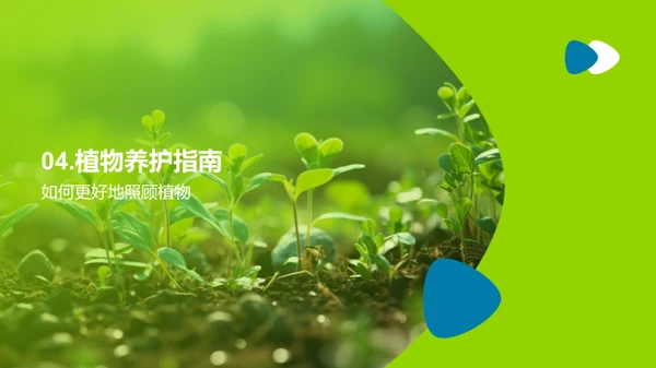 深入植物奥秘