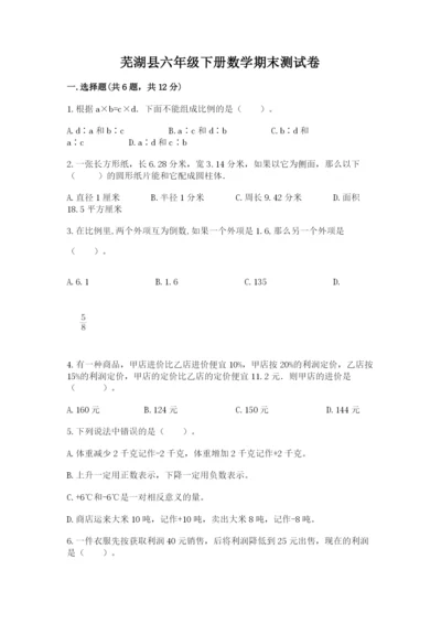 芜湖县六年级下册数学期末测试卷word版.docx