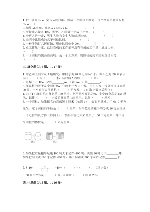 人教版六年级下册数学期末测试卷（典优）word版.docx