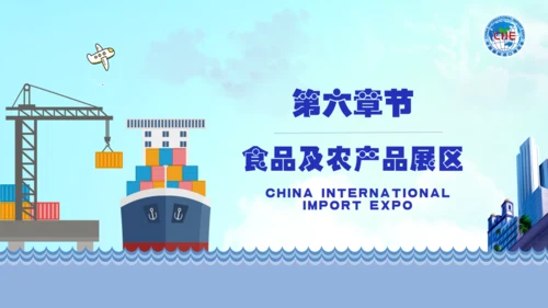 中国国际进口博览会海关通用PPT模板