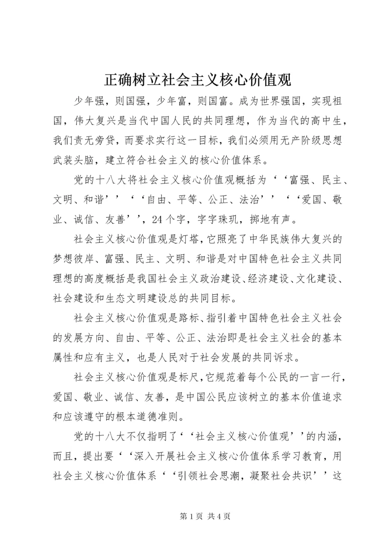 正确树立社会主义核心价值观.docx