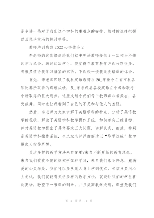 教师培训感想2022心得体会范文.docx