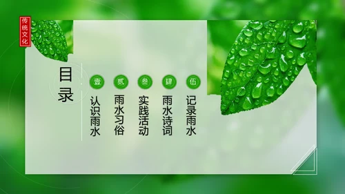 春天雨水绿叶晨露二十四节气通用PPT课件