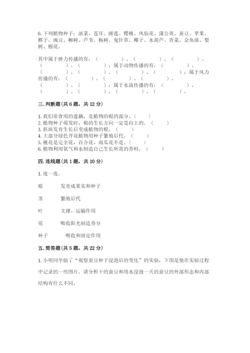 教科版四年级下册科学第一单元《植物的生长变化》测试卷【word】.docx