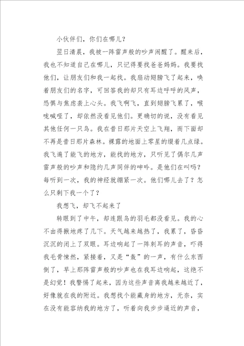 六年级作文我是一只小小鸟1000字