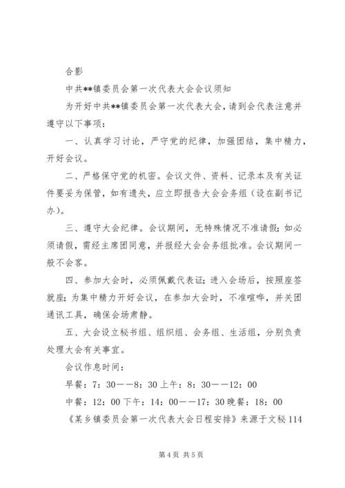 某乡镇委员会第一次代表大会日程安排 (3).docx