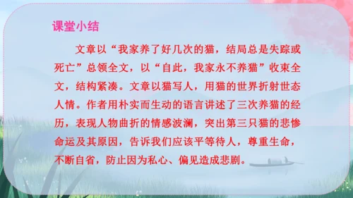 17《猫》课件