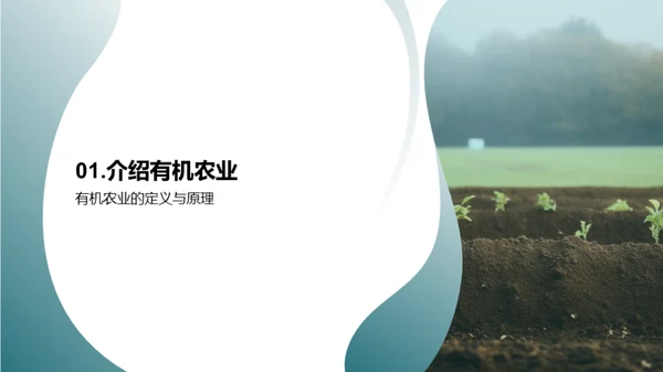 探索有机肥料的蓝海市场