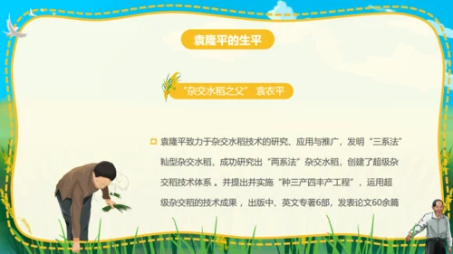 杂交水稻之父袁隆平通用PPT模板