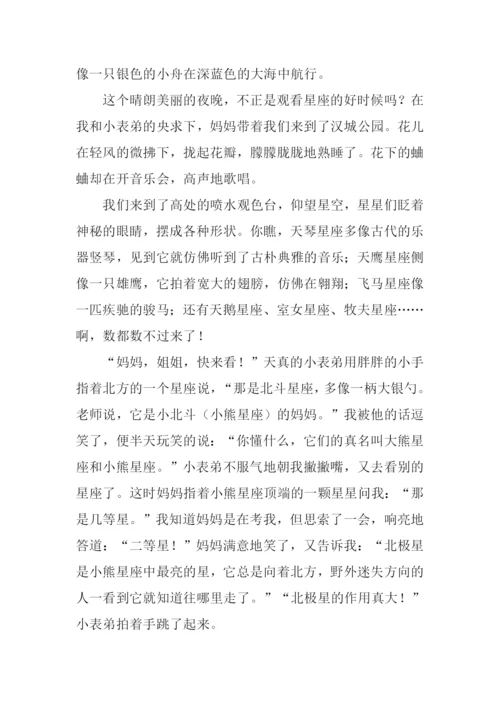 夏天的夜晚作文-1.docx