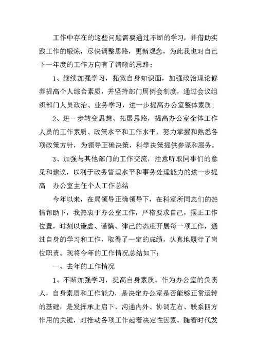 办公室主任个人工作总结【精编】