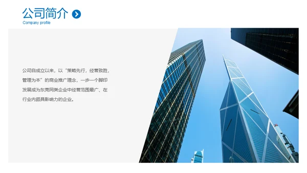 极简淡雅工作总结新年计划通用PPT