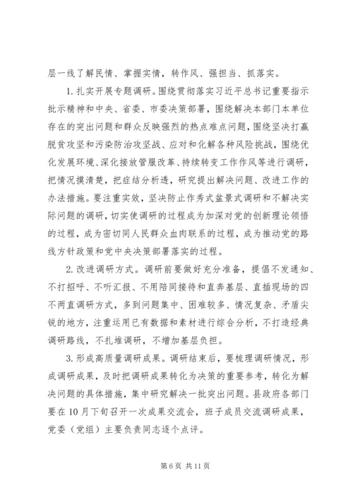 人民政府党组关于开展“不忘初心、牢记使命”主题教育的实施方案.docx