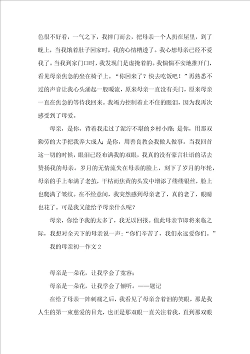我的母亲初一作文 2