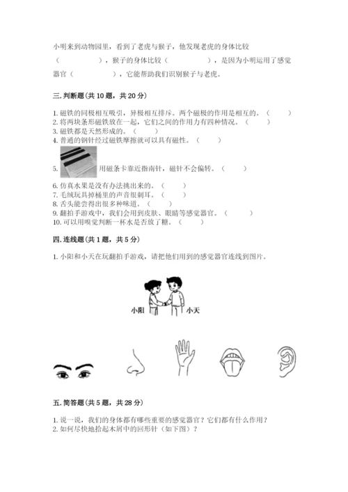 教科版小学科学二年级下册期末测试卷标准卷.docx