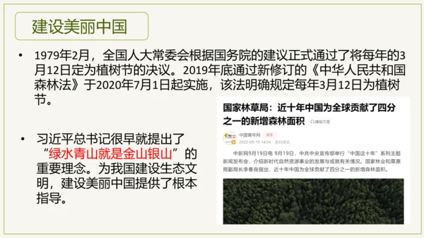 3.6 爱护植被，绿化祖国2023-2024学年七年级生物上学期同步精品课件（人教版）(共21张PP
