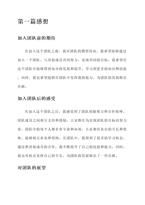 参与到团队后的感想