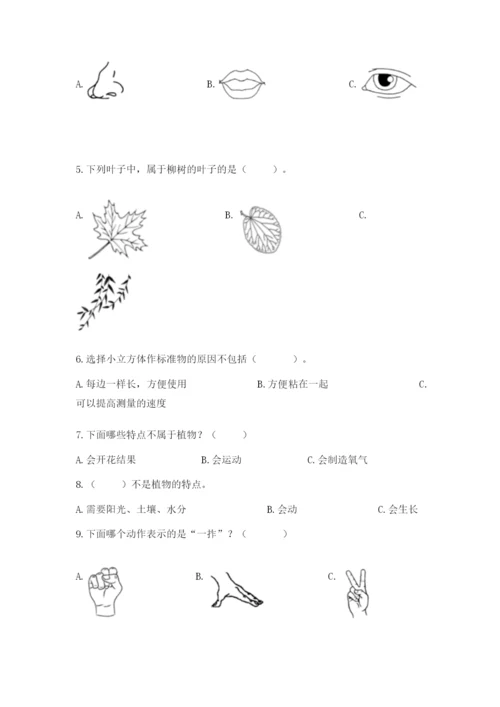 教科版一年级上册科学期末测试卷精品【基础题】.docx