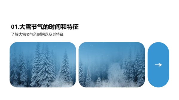 雪的奥秘与影响