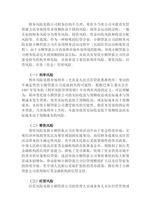 我国小额贷款公司财务风险探讨--毕业论文设计.docx