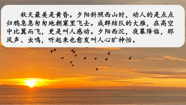 《四季之美》