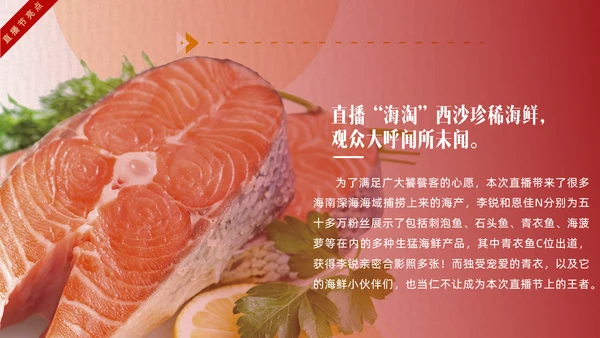网红主播直播带货电商助力扶贫PPT模板