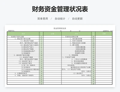 财务资金管理状况表