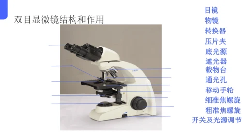 人教版（2024）七年级上册1.2.1 学习使用显微镜 课件(共29张PPT)
