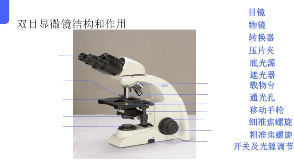 人教版（2024）七年级上册1.2.1 学习使用显微镜 课件(共29张PPT)