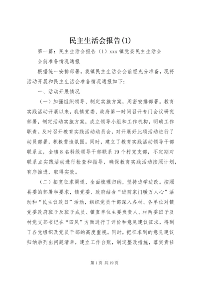 民主生活会报告(1).docx