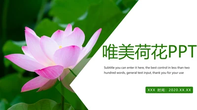 绿色唯美荷花廉政工作总结汇报PPT模板