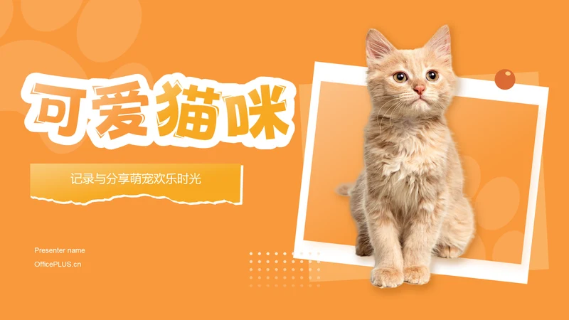 橙色渐变风可爱猫咪图集通用模板PPT模板