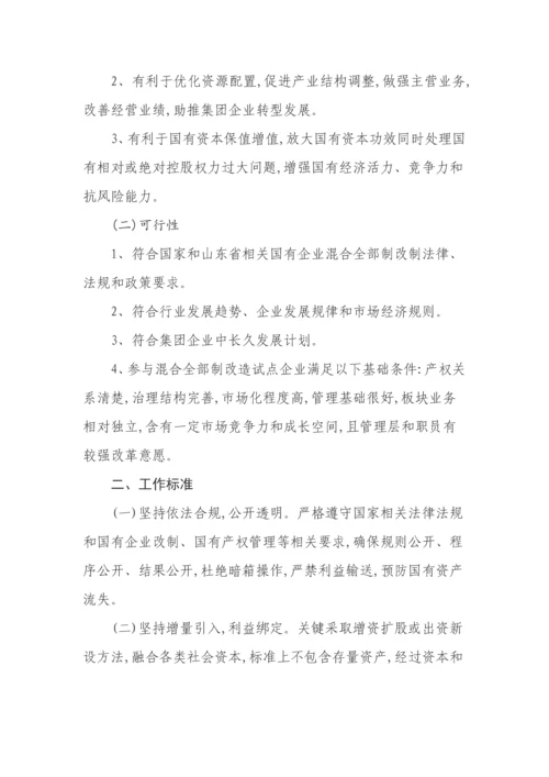 公司混合所有制改革试点工作专业方案.docx