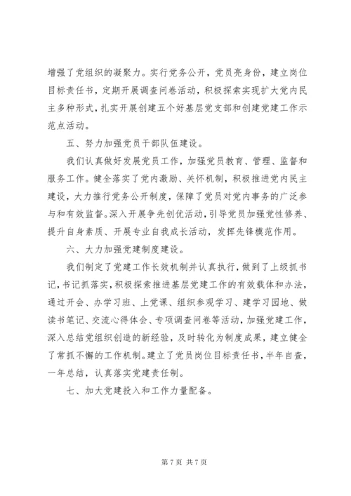 党支部党建述职报告范文.docx