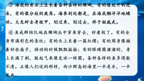 第18课《富饶的西沙群岛》课件