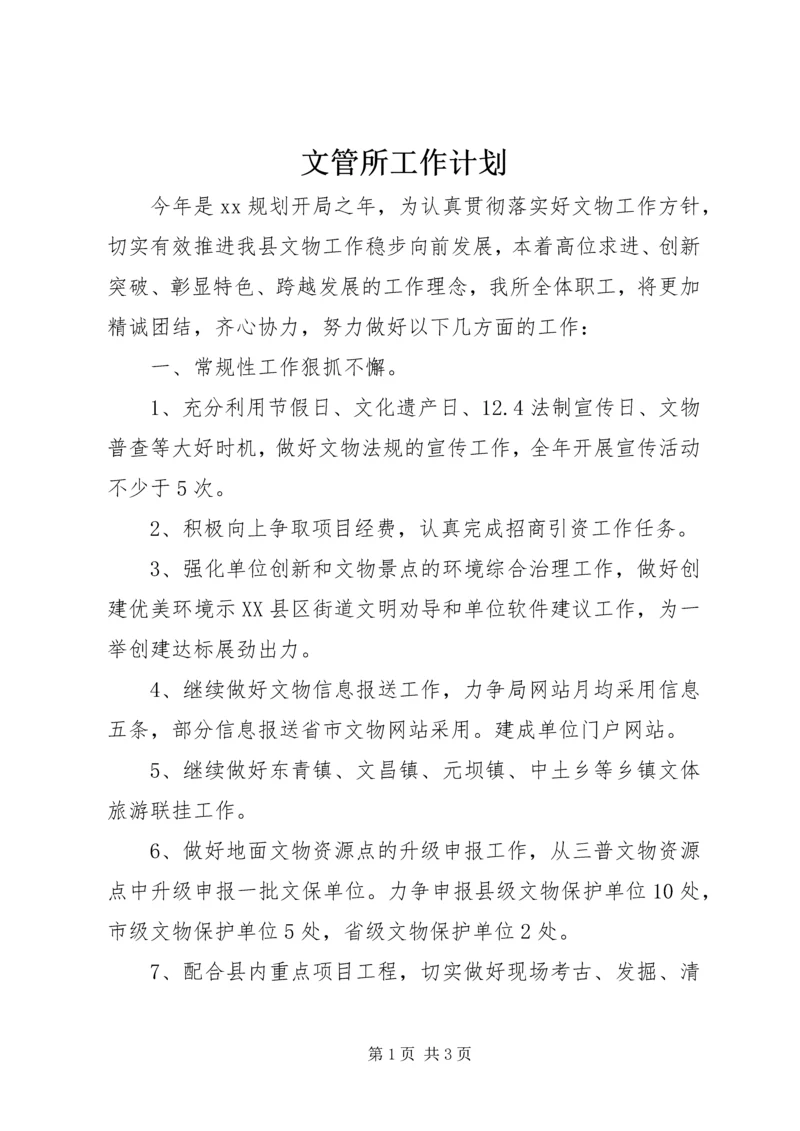 文管所工作计划.docx